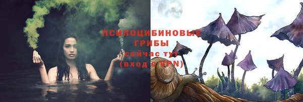прущие крисы Балахна