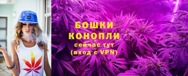 прущие крисы Балахна