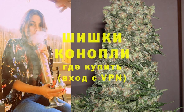 шишки Арсеньев