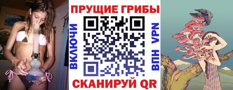 Псилоцибиновые грибы GOLDEN TEACHER  Ужур 