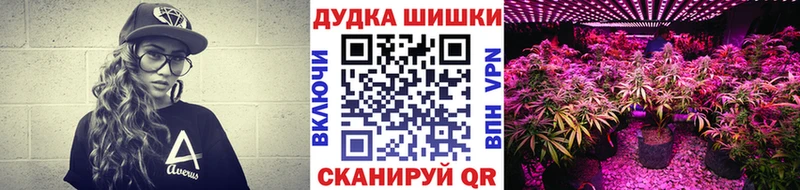 Каннабис конопля Ужур